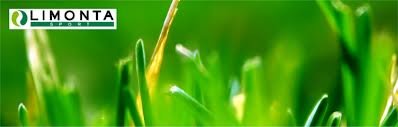 images_037